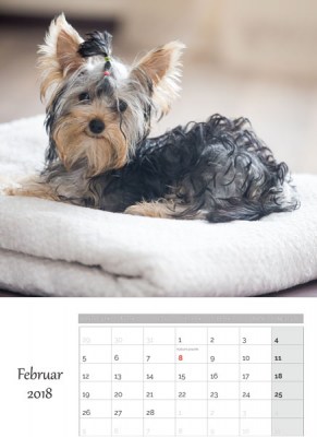 Koledar-02-2018-PREDLOGA-2